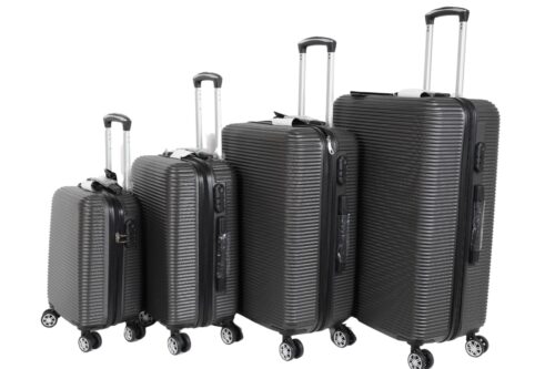 Darwin Reisekoffer Hartschalenkoffer 4er Set - Grau