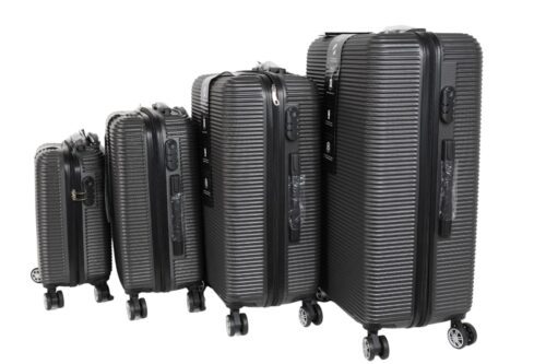 Darwin Reisekoffer Hartschalenkoffer 4er Set - Grau