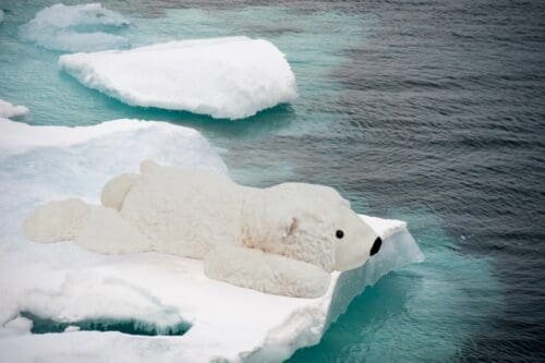 Eisbär, Plüschtier
