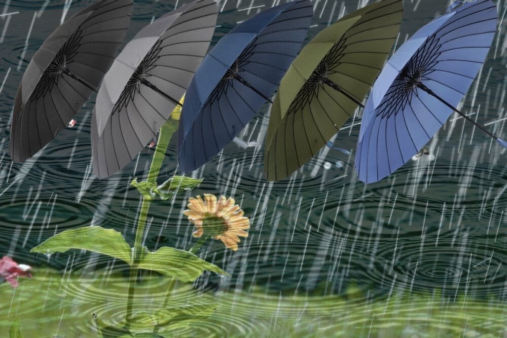 Regenschirm