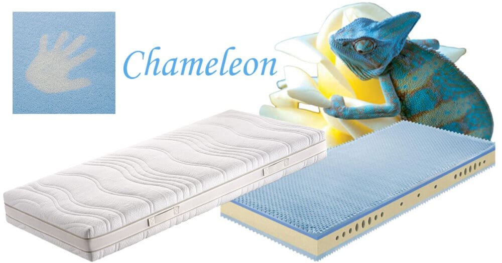 Chameleon H2/H3