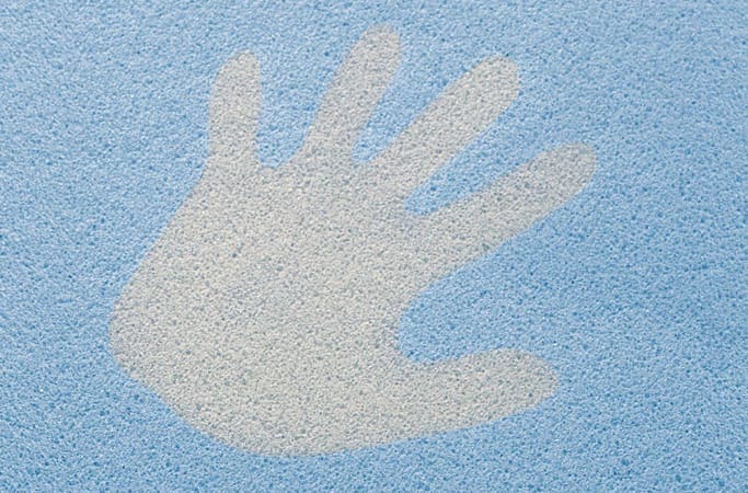 Chameleon hand – kaufen bei NPI Shop