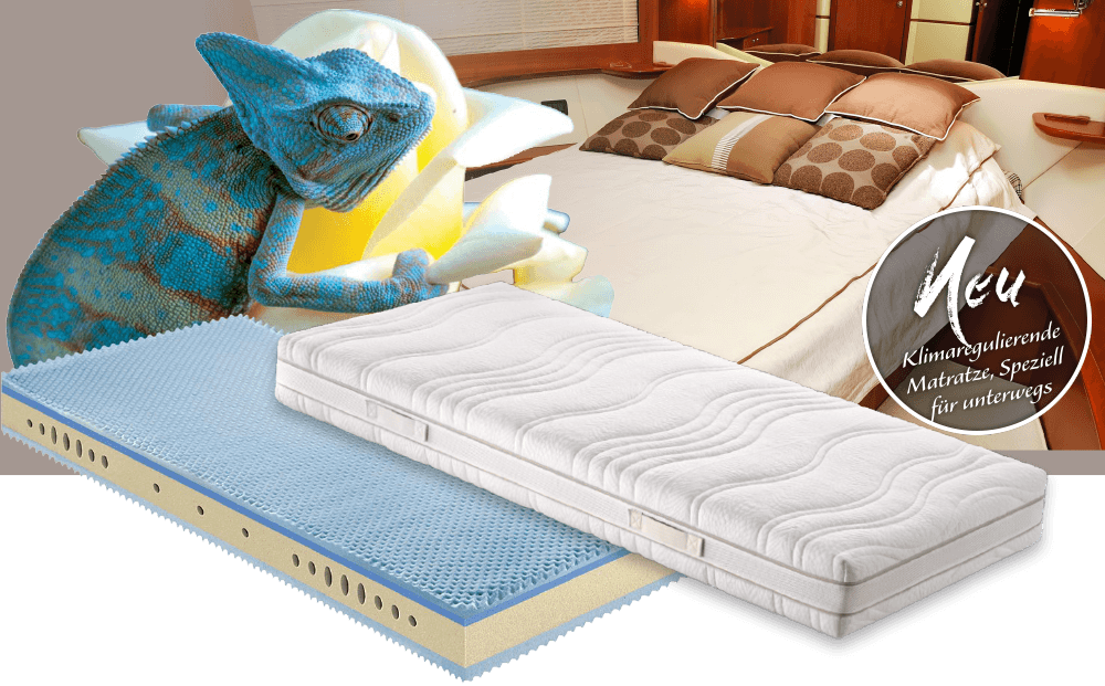 chameleon – kaufen bei NPI Shop