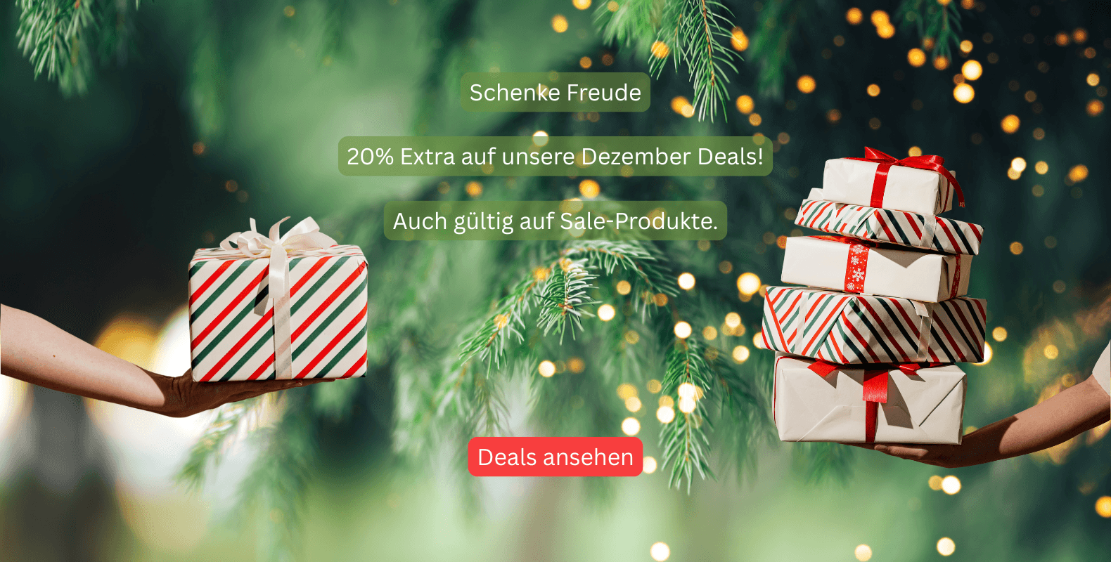 Dezember Deals