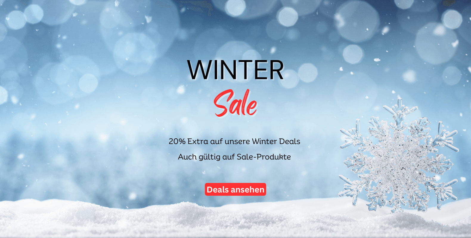 Winter Sale